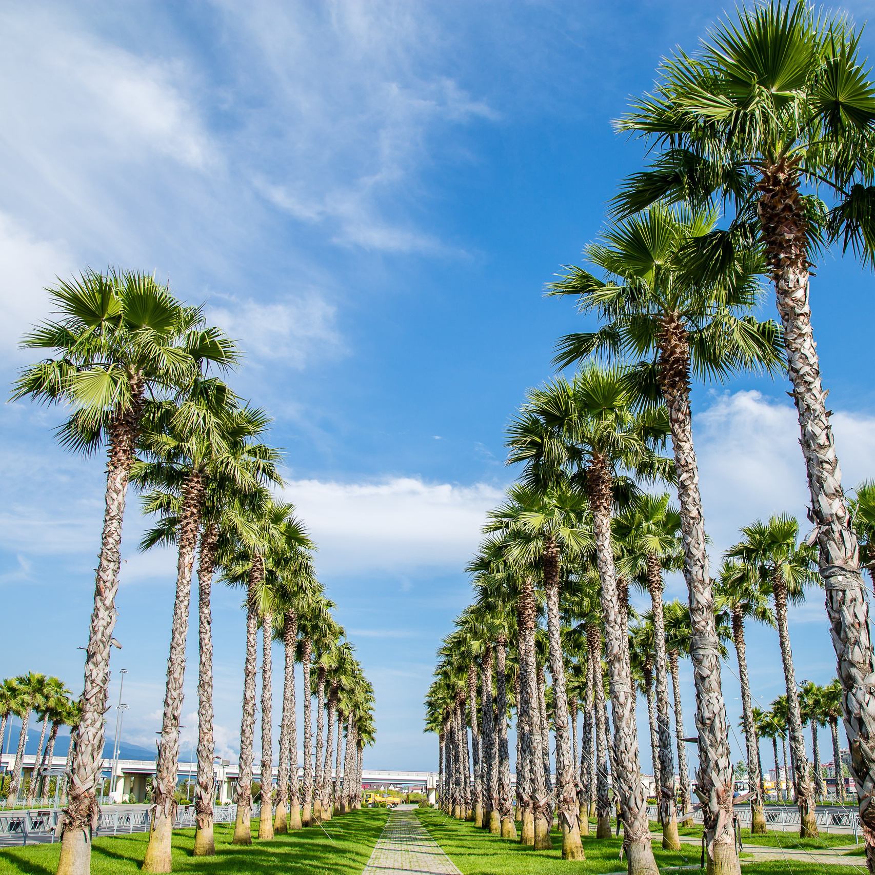 Локации Сочи. Фотограф в Сочи. Свадебная видеосъемка Сочи