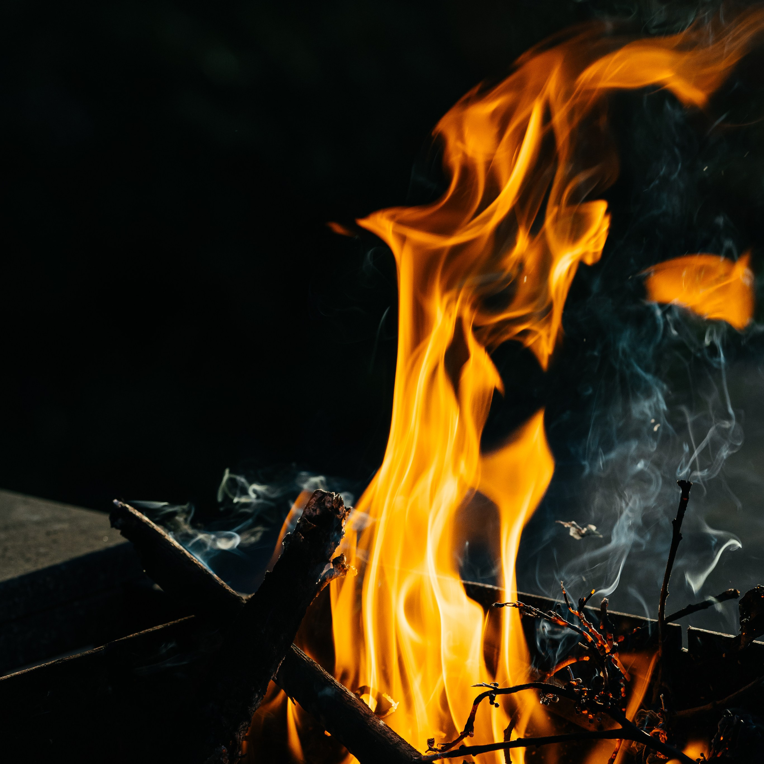 ЛЕСОПАРК | Загородное кафе