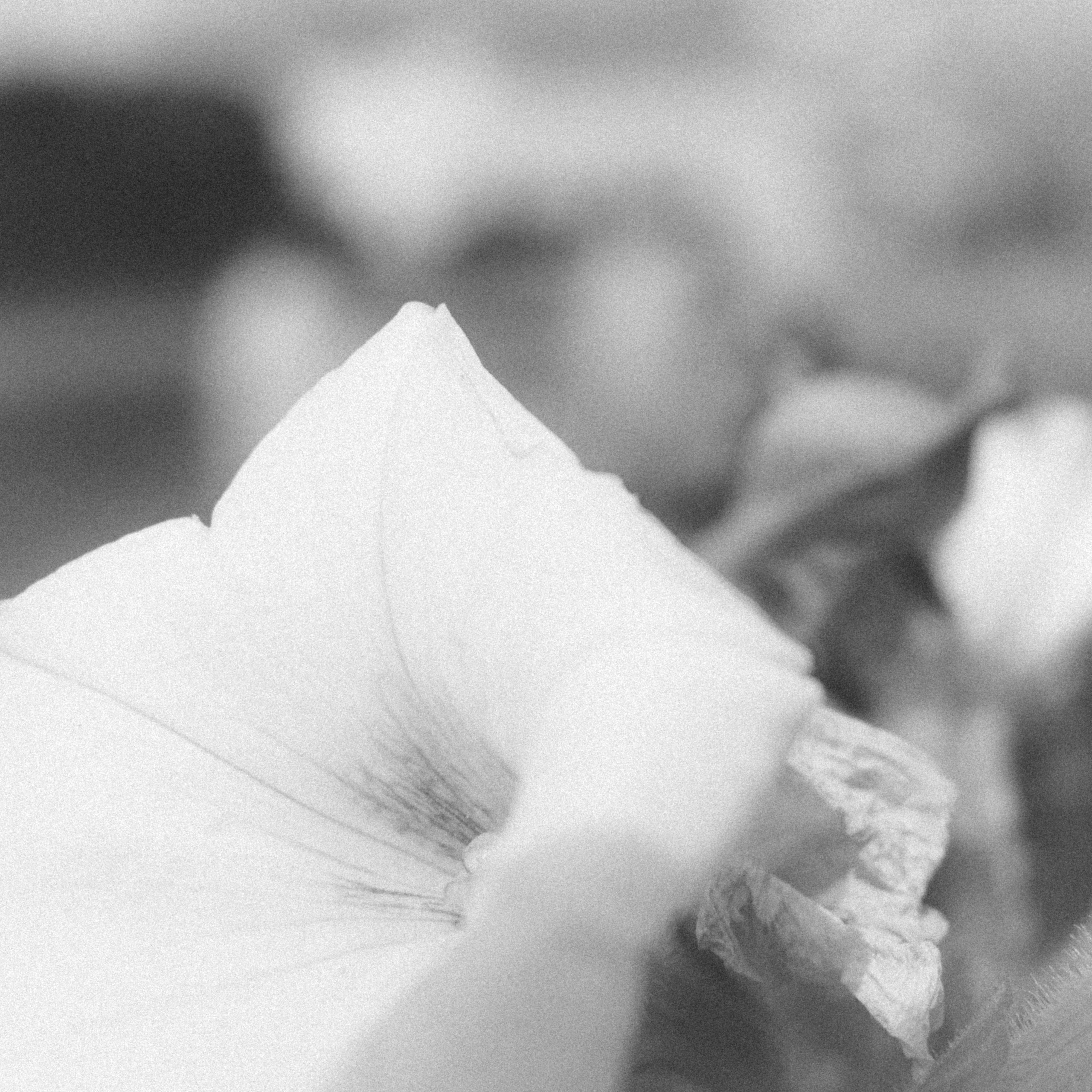 СЕРГЕЙ РОСАК | ФОТОГРАФ & ВИДЕОГРАФ • СОЧИ