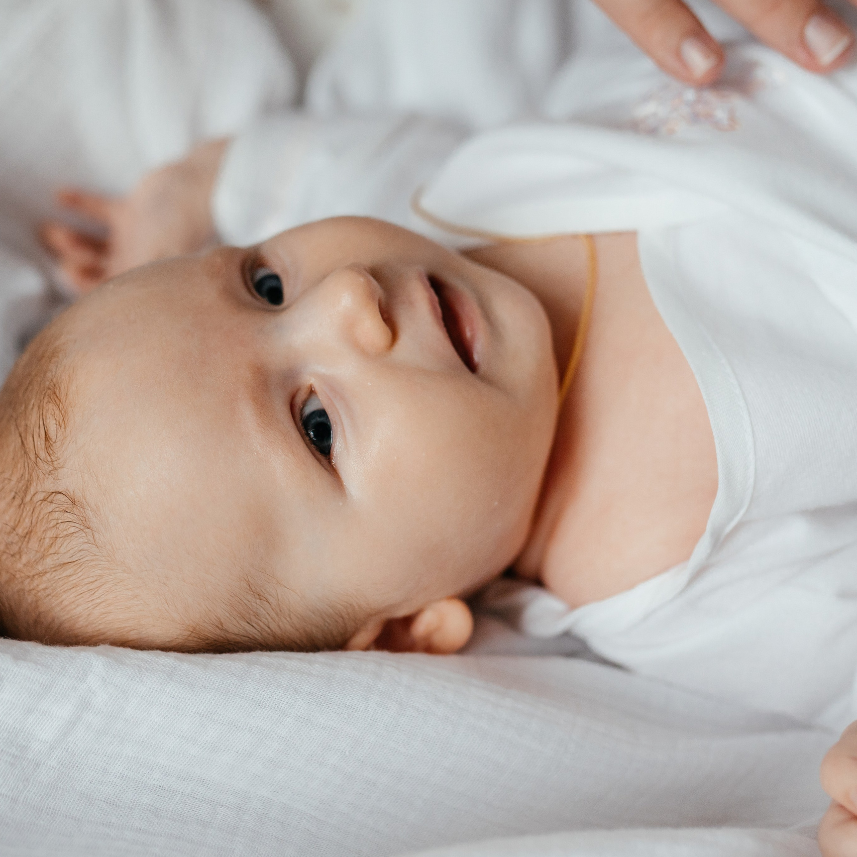 Фото. Агенство фотографии Сафроновых