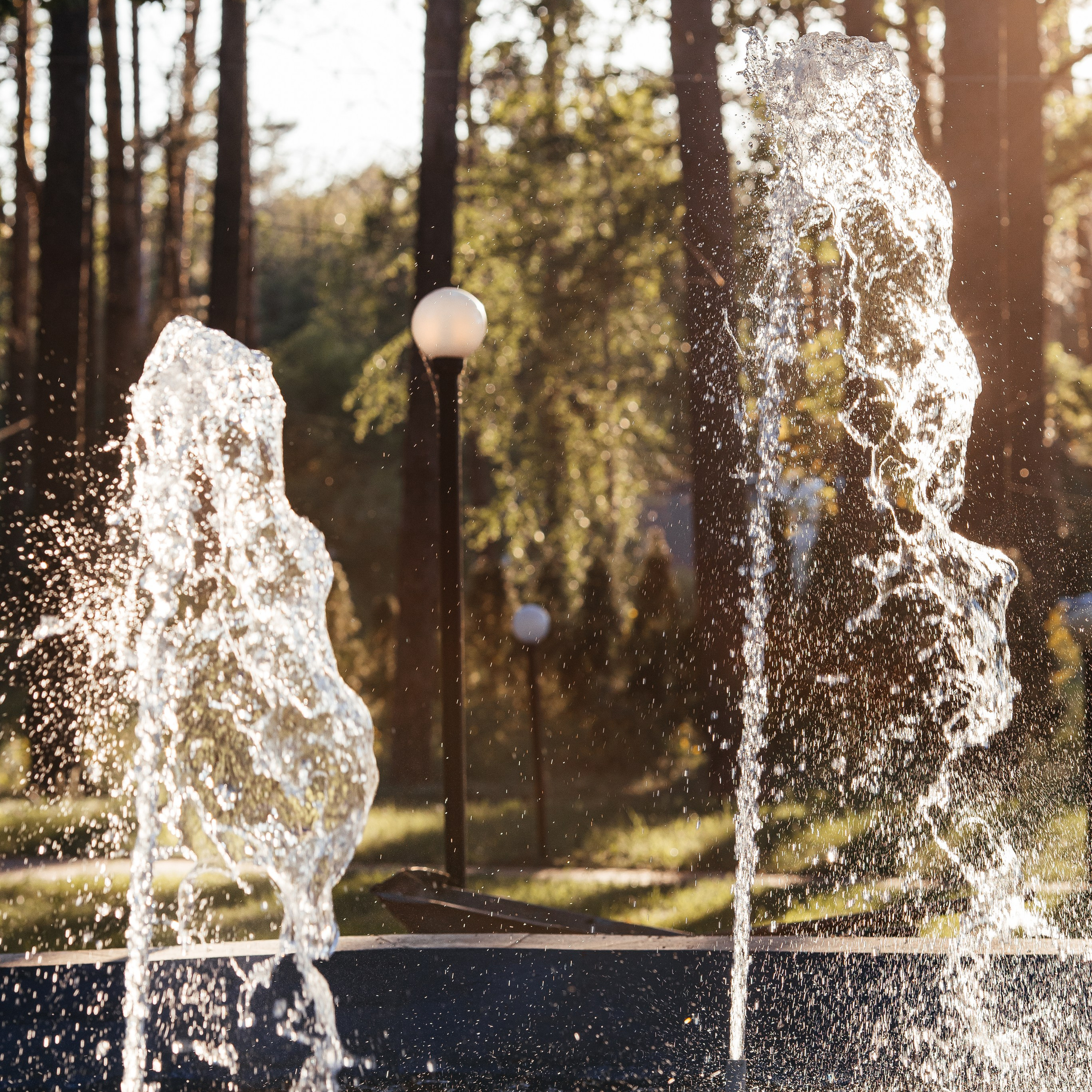 ЛЕСОПАРК | Загородное кафе