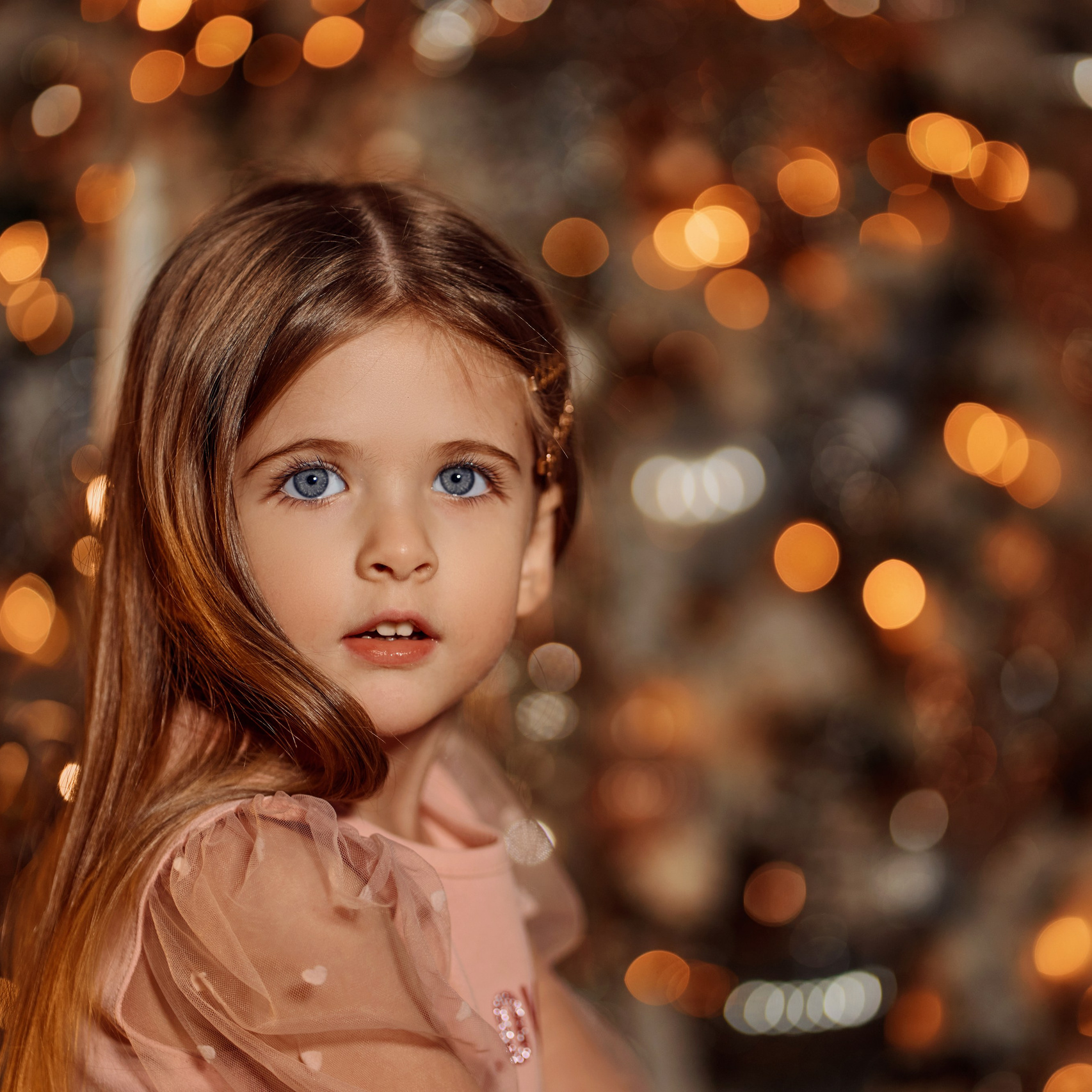 Новый год 2025-26. Семейный и свадебный фотограф и видеограф в Туле и Москве