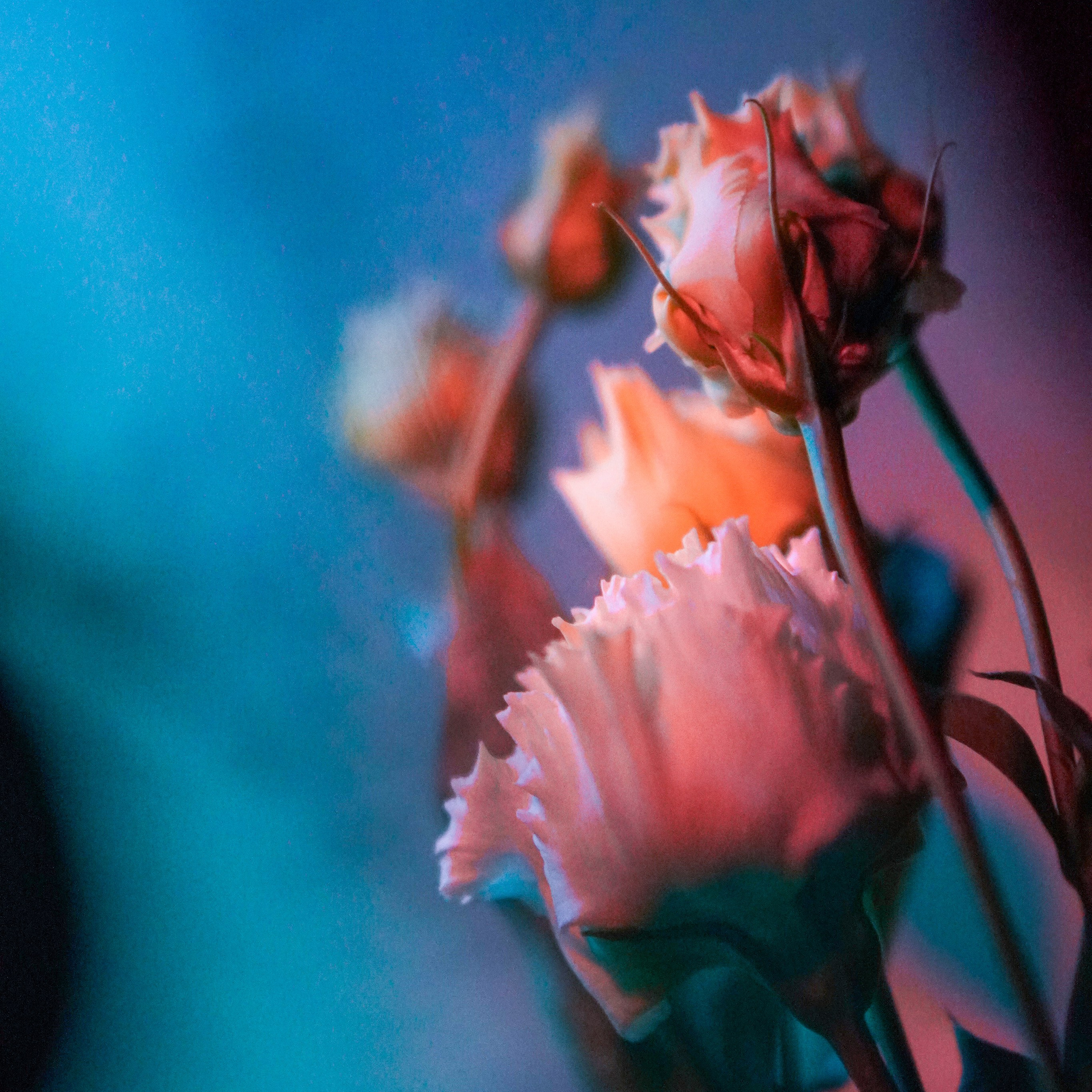 Портретный фотограф в Москве Юлия Чекалина