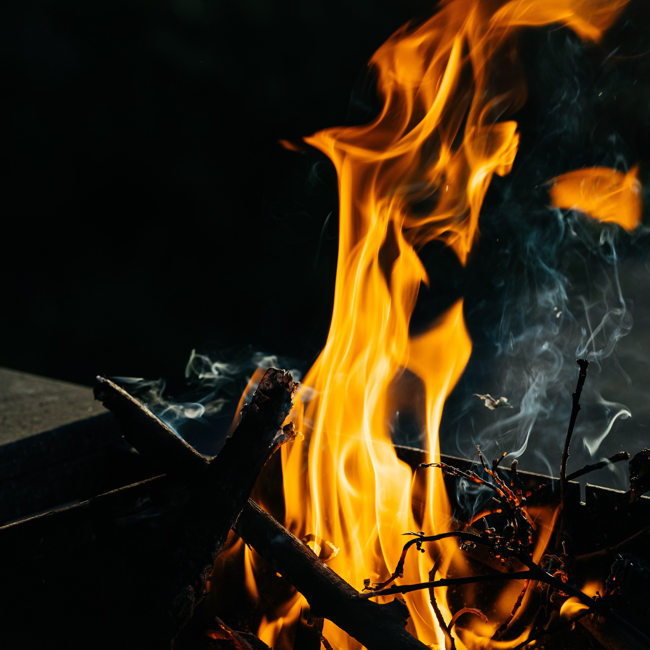 УСЛУГИ И РАЗВЛЕЧЕНИЯ. ЛЕСОПАРК | Загородное кафе