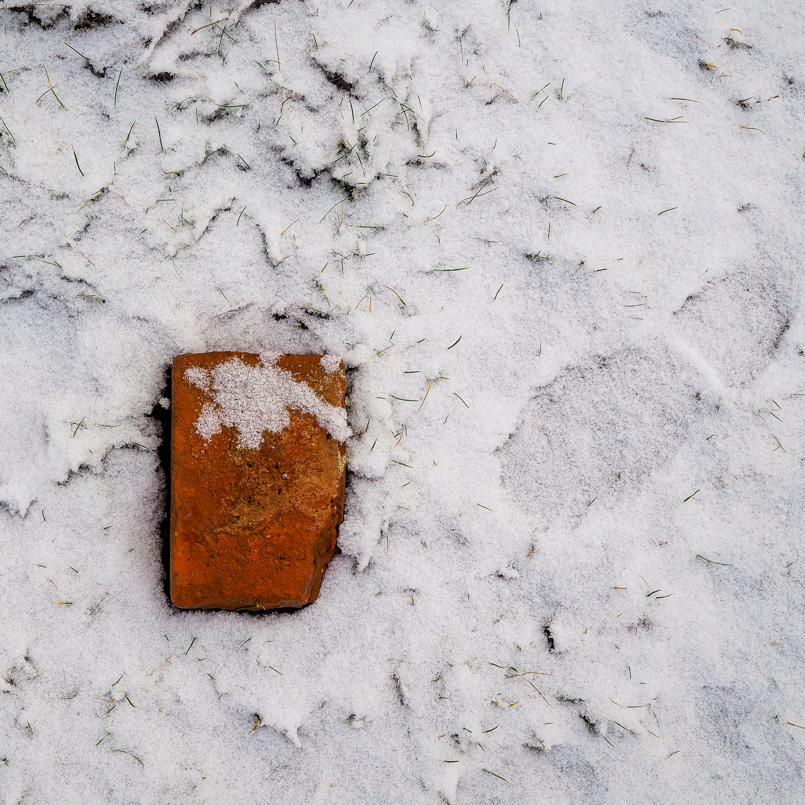 Кураторский проект «Инородное тело»