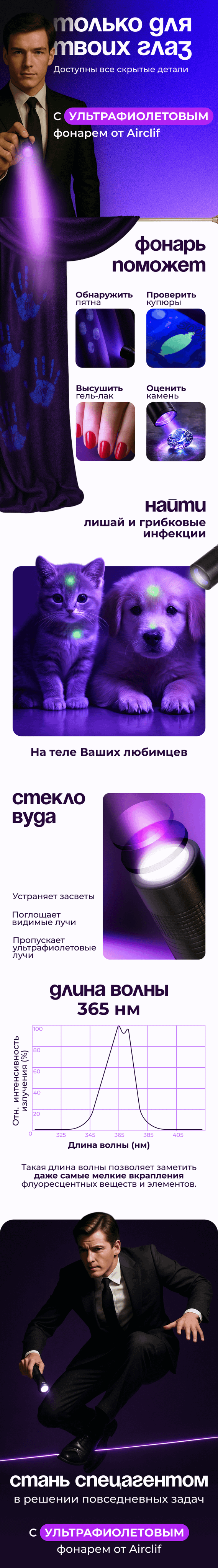 Инфографика Даша Б. Веб-дизайнер Москва