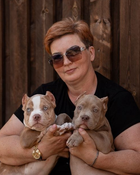 ПИТОМНИК СОБАК ПОРОДЫ АМЕРИКАНСКИЙ БУЛЛИ