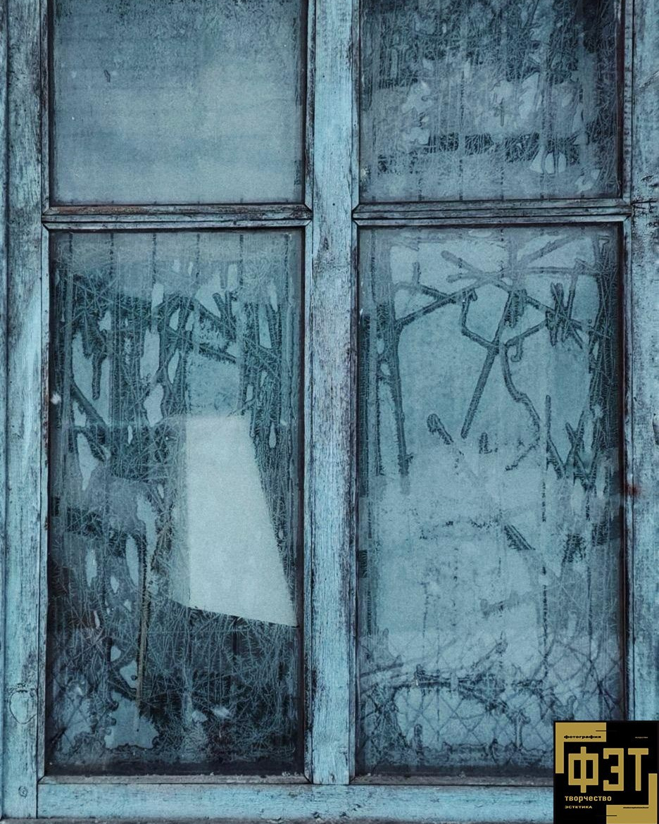 Выбор зрителей 23.11.25