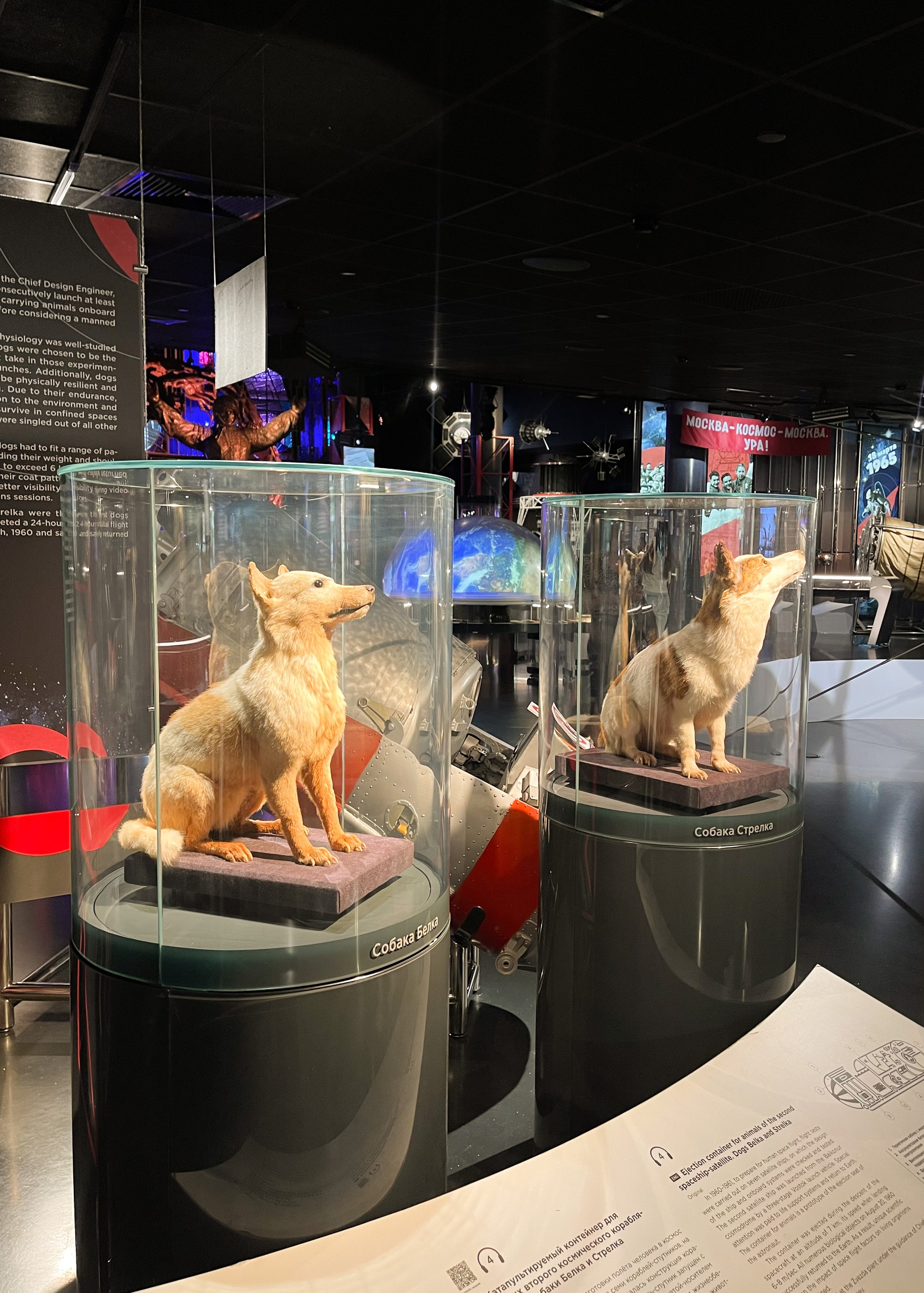 Москва детям. Экскурсовод по Москве Беляева Валентина