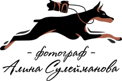 alina-animalphoto.ru