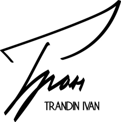 trandinivan.wfolio.pro