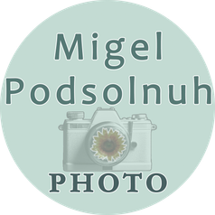 migel-podsolnuh-photo.ru