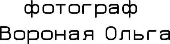 olgavoronaya.com