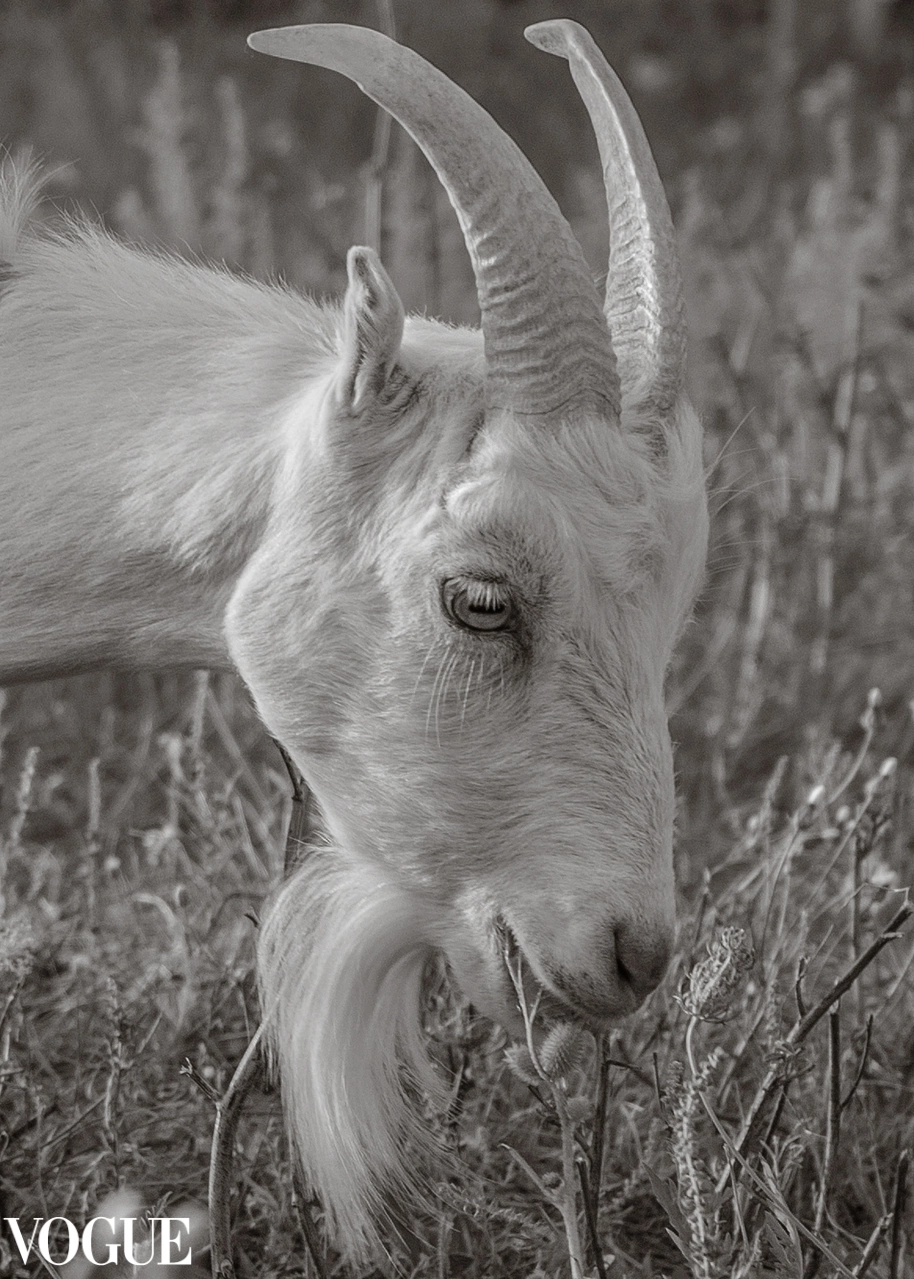 Публикации. Фотограф Наталия Шляпина в Ростове-на-Дону