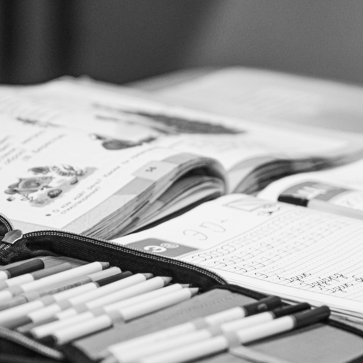 О проекте «Школьные будни»