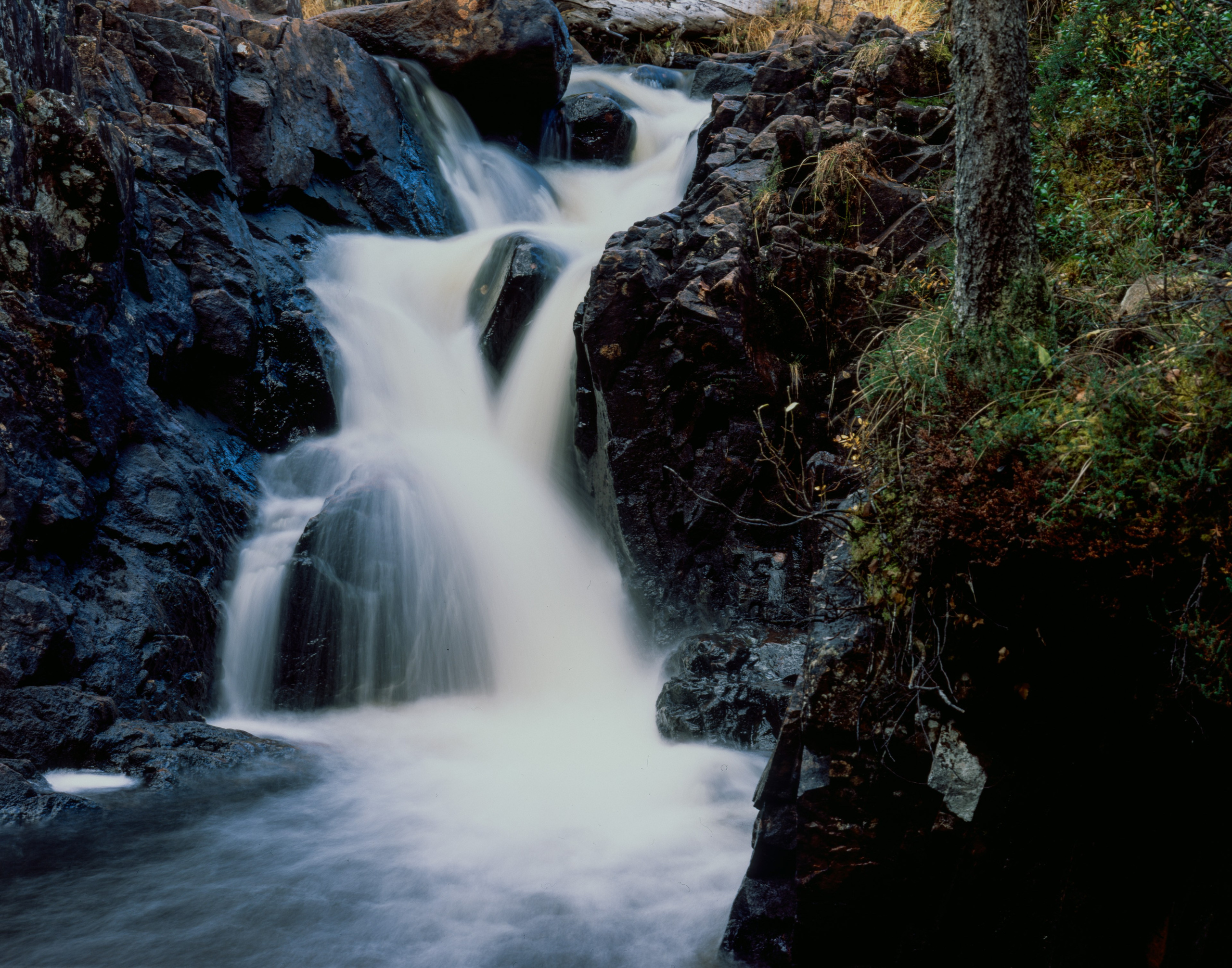 Знаменательный день. Северные Ночи