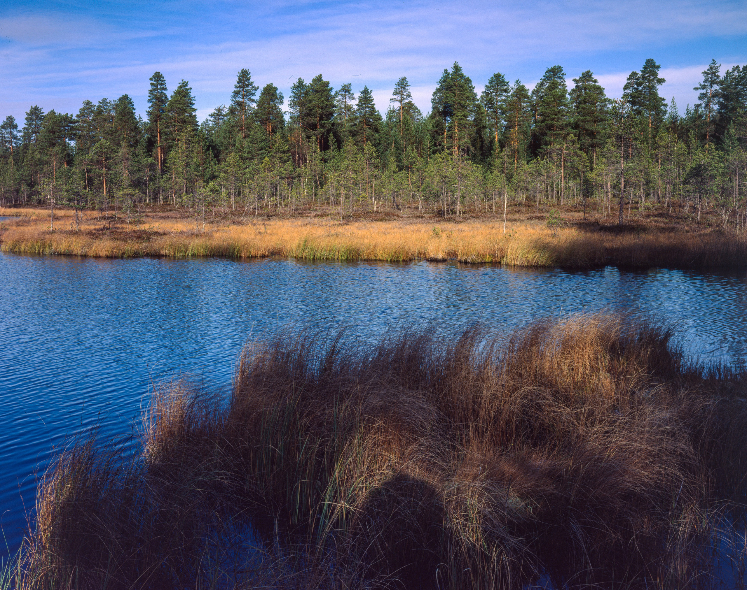 Знаменательный день. Северные Ночи