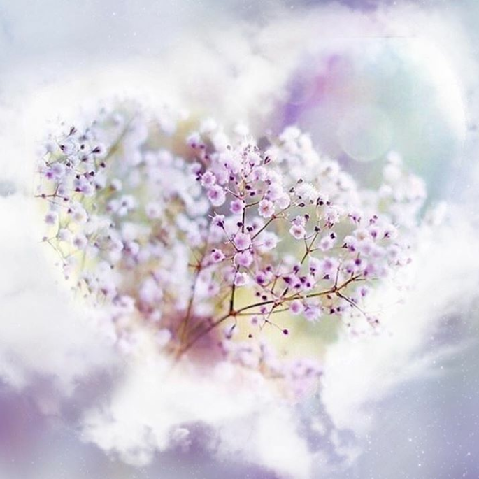 Обо мне. Духовное развитие. Энергопрактик Елена Ильюшина