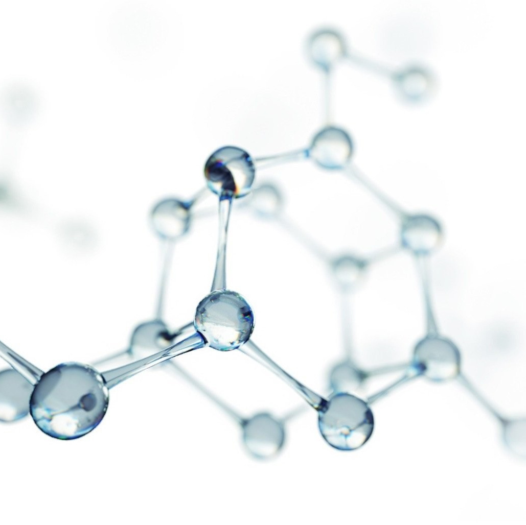 THE CACTUS EFFECT 10/10