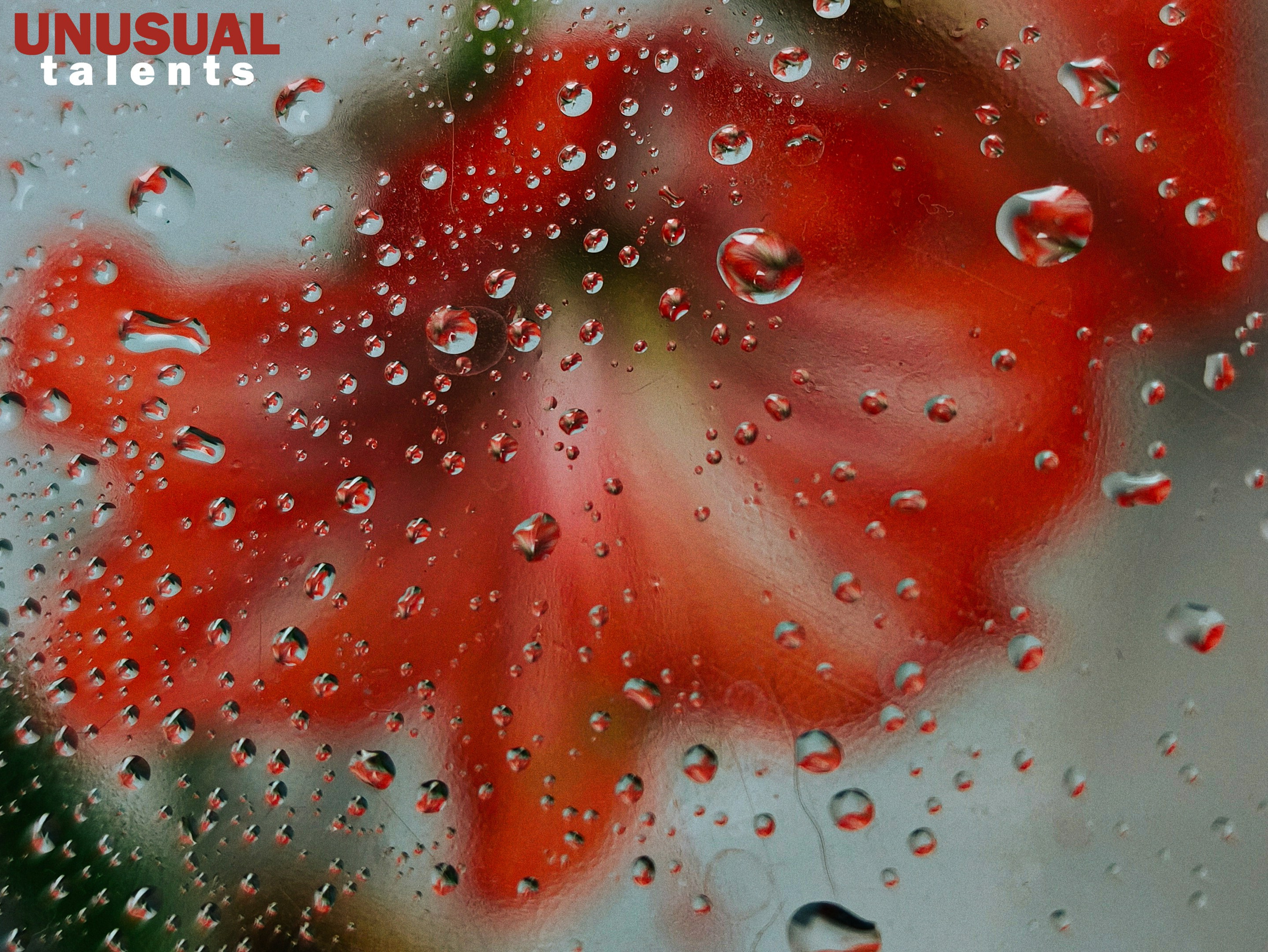 Natalia Coboleva. UNUSUAL TALENT magazine