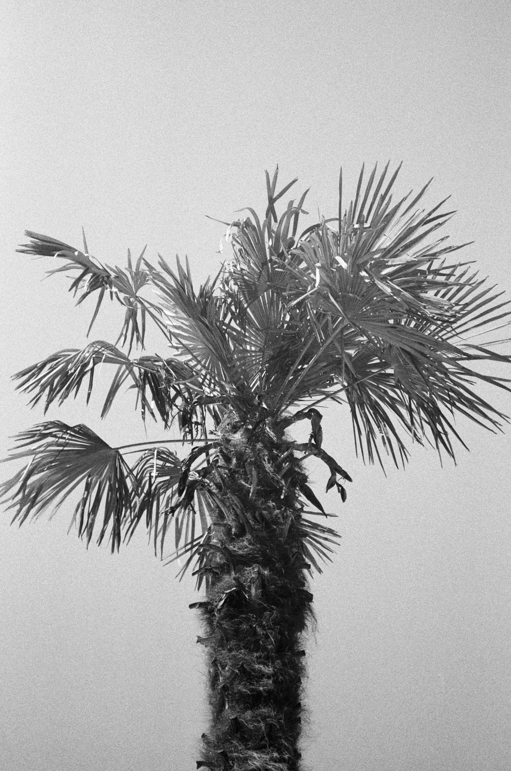 Портретный и предметный фотограф Елизавета Федорова