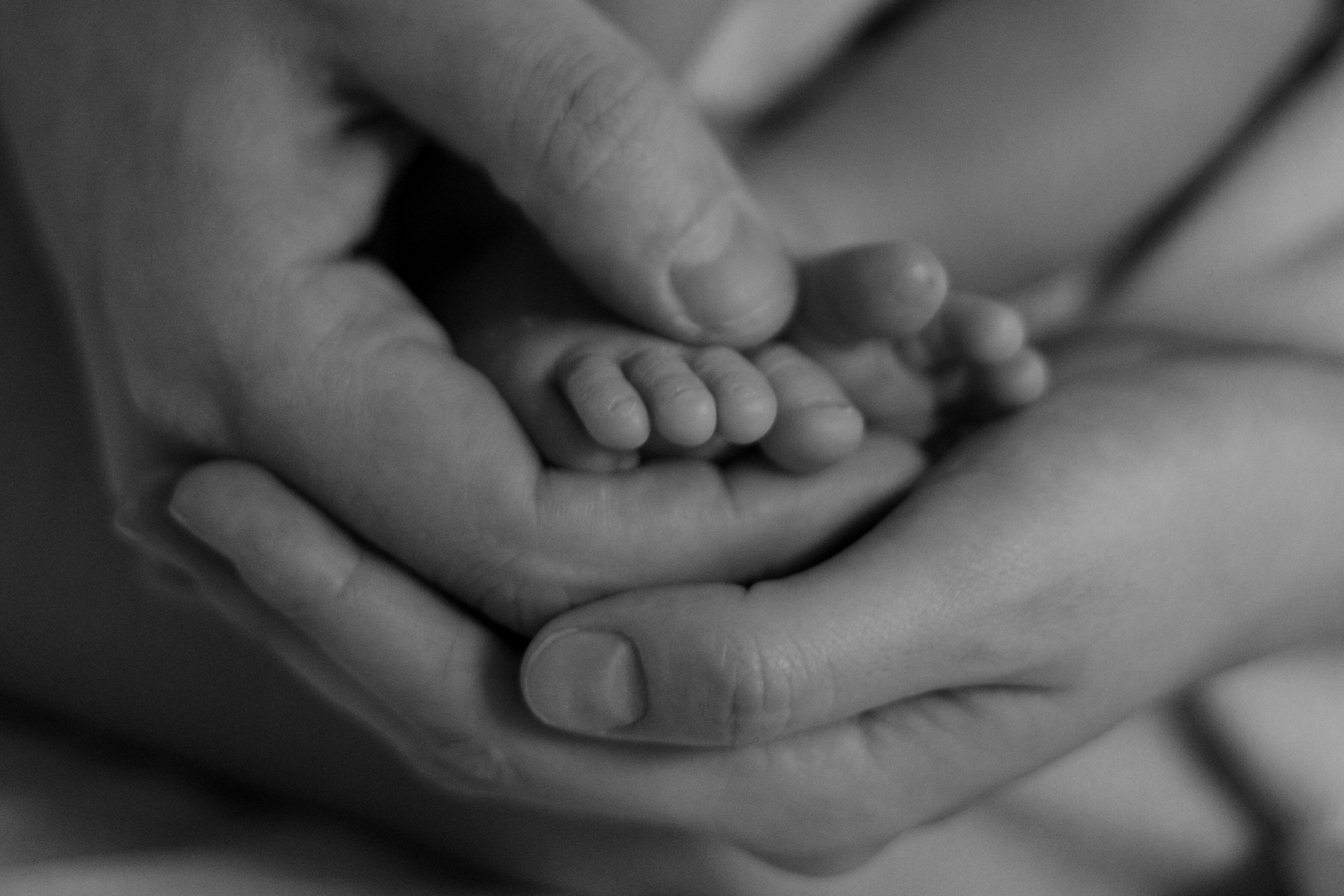 Стоимость. Варвара Синицына: семейный фотограф в Москве