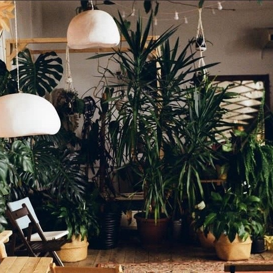 красивые места для фотосессии в сочи