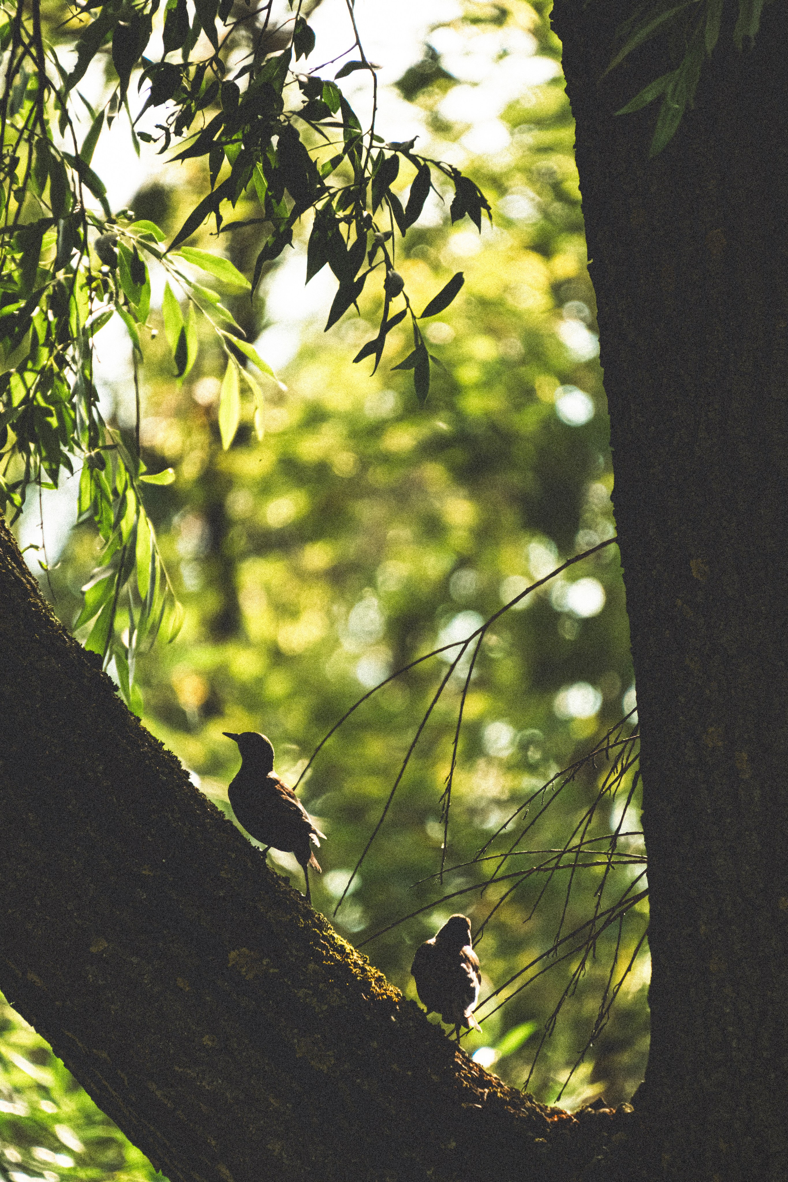 Beauties. M. Neizvestniy — уличная и спортивная фотография