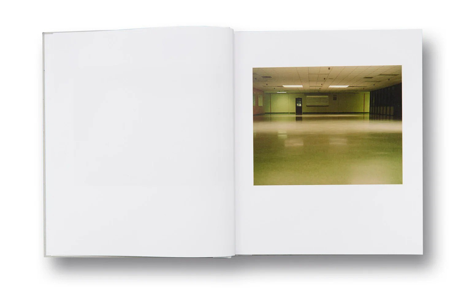 ОБЗОР АКТУАЛЬНЫХ ФОТОКНИГ: Тошнота. Самоорганизация Низина