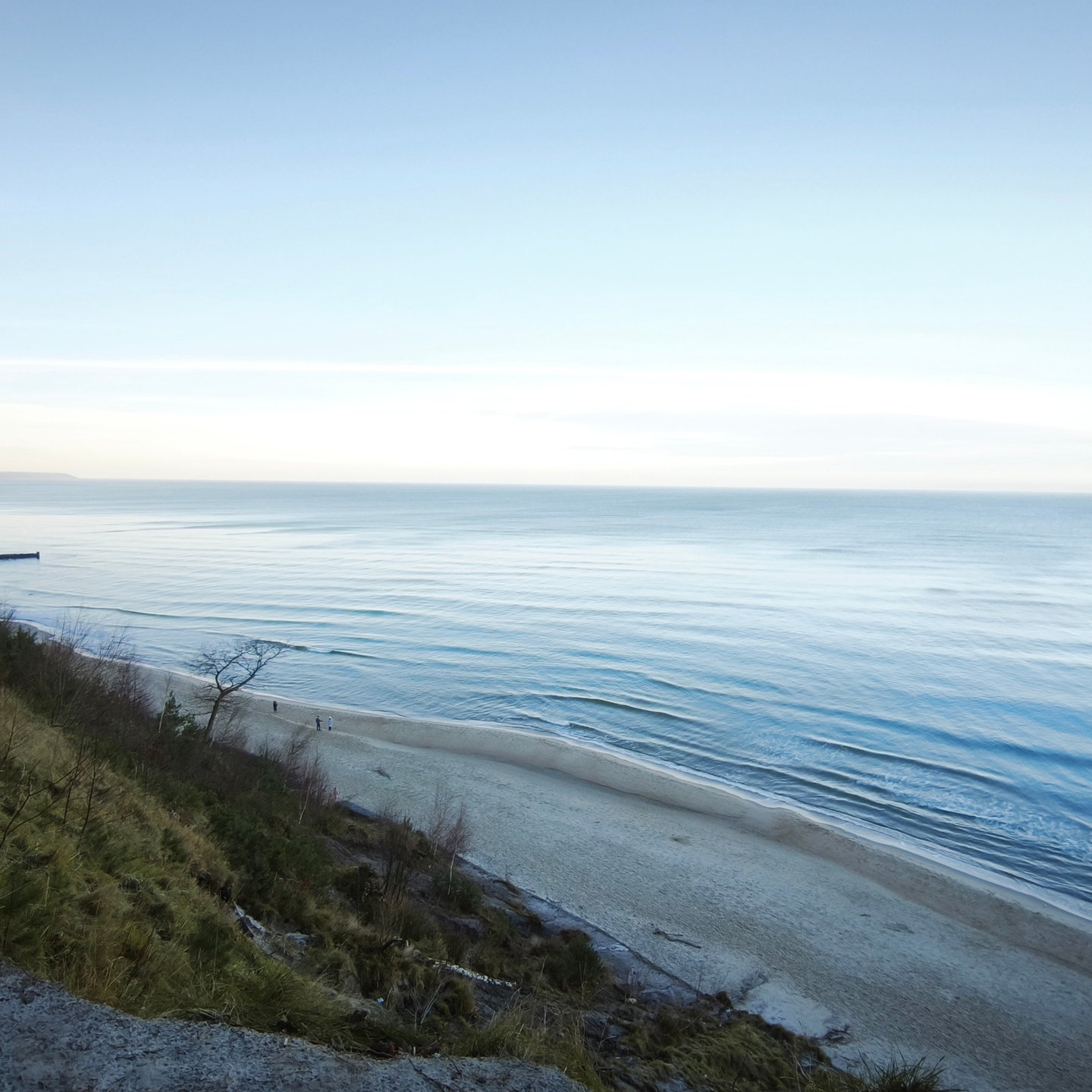 Почему Беларусия выбирает Балтику. Анастасия Пушкарева Rauschen