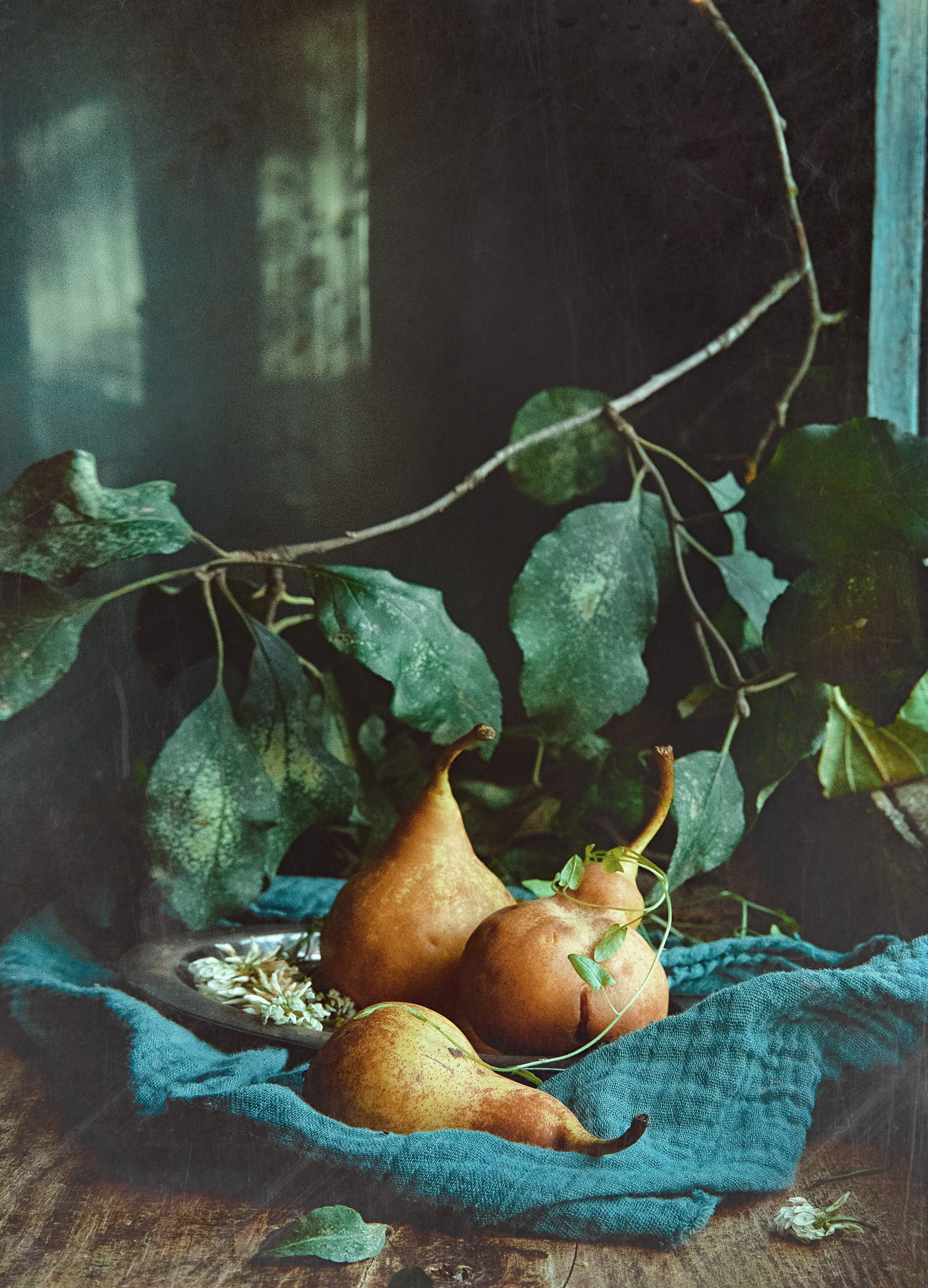 ФОТОЖИВОПИСЬ. Фотохудожник Нина Жихарева