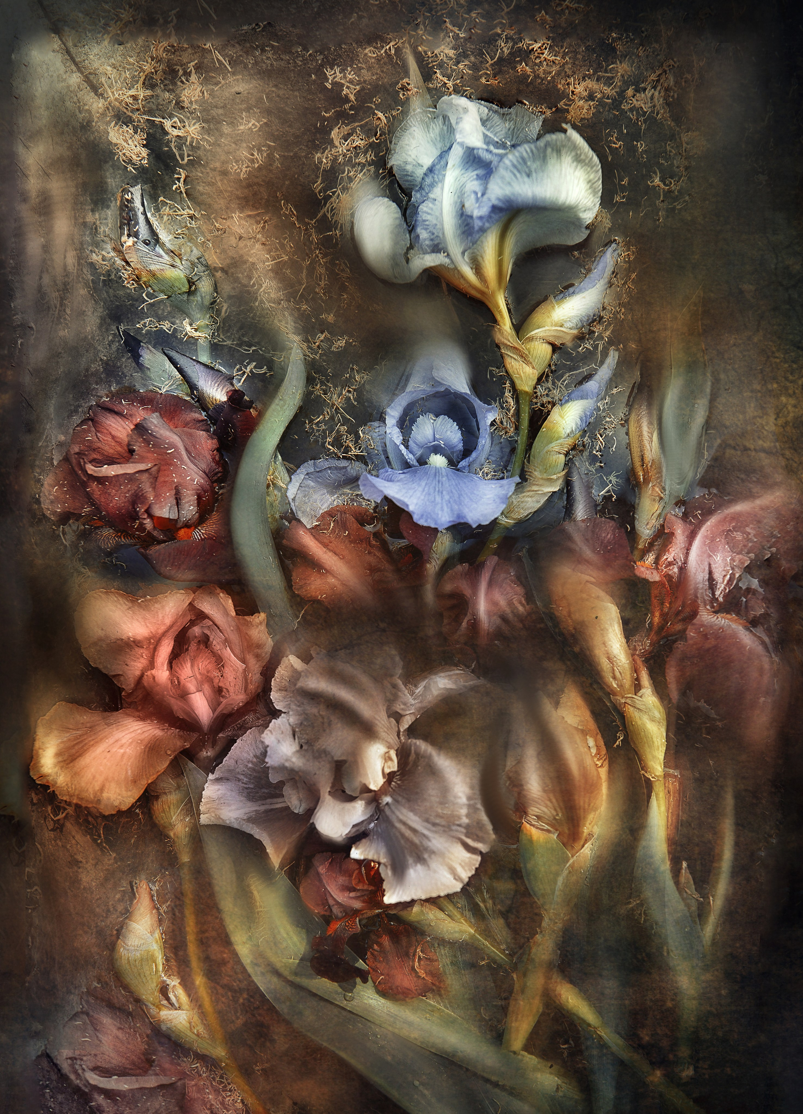 ФОТОЖИВОПИСЬ. Фотохудожник Нина Жихарева