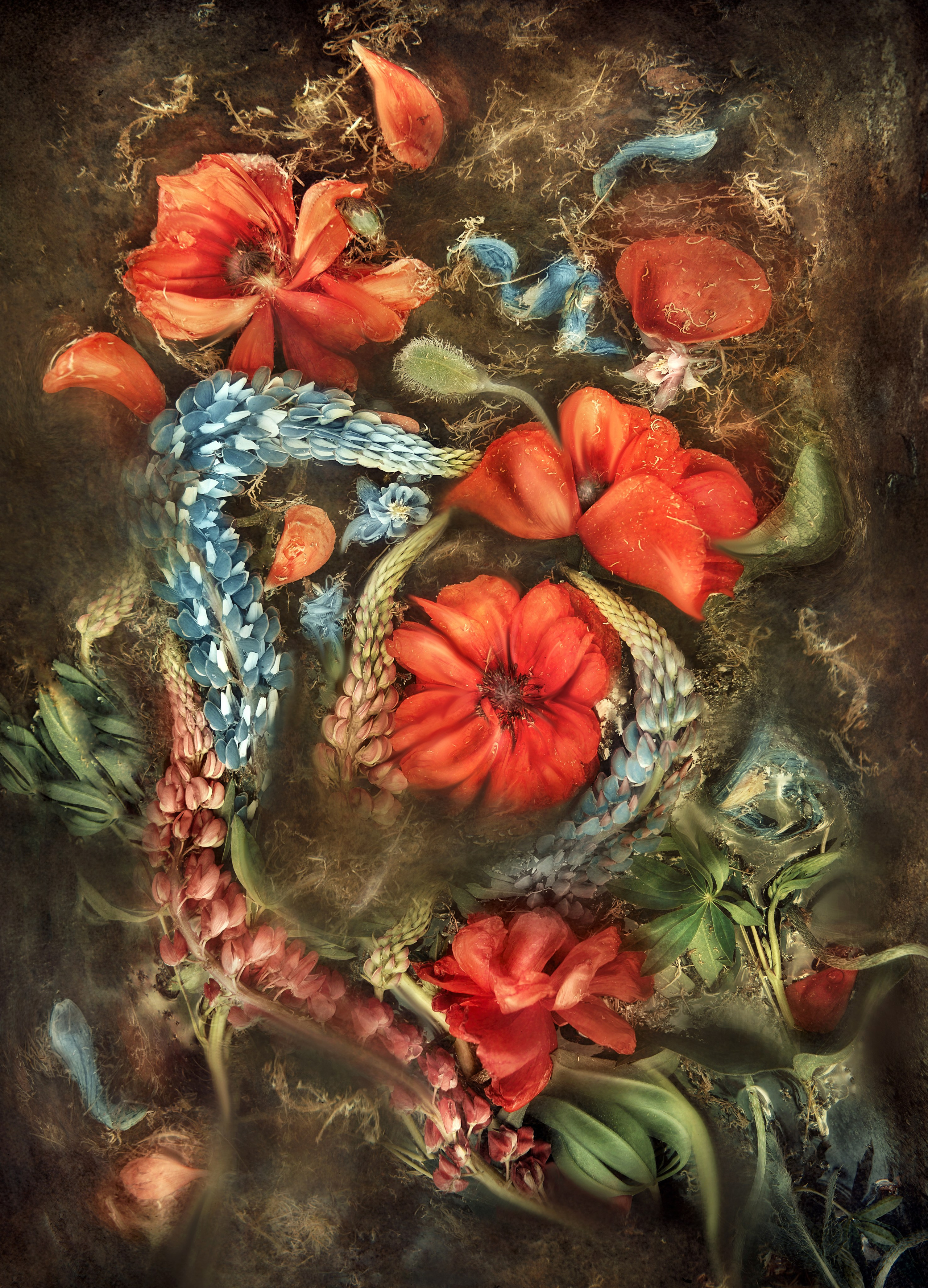 ФОТОЖИВОПИСЬ. Фотохудожник Нина Жихарева