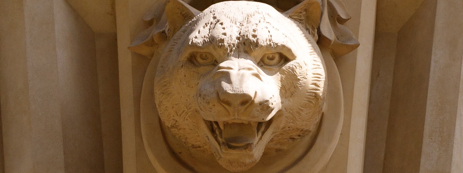 Свадебный. Свадебный фотограф Марьям Сайфулина г. Красноярск