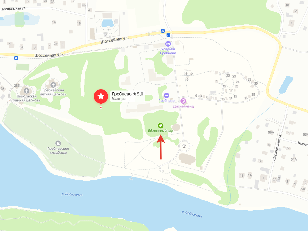 Что и где цветёт в Щёлково. Свадебный и семейный фотограф Виктория Носачёва. Щелково, Москва и МО