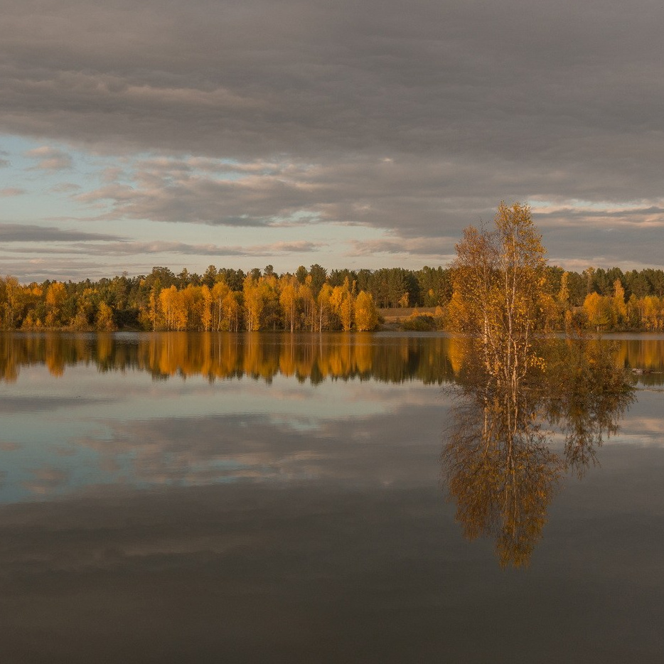 Галерея. Семейный, детский и женский фотограф в Братске