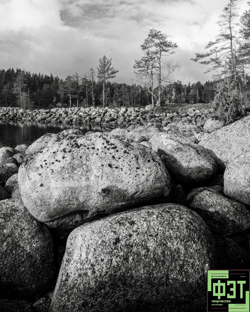 Альбом 23.11.25. ФЭТ