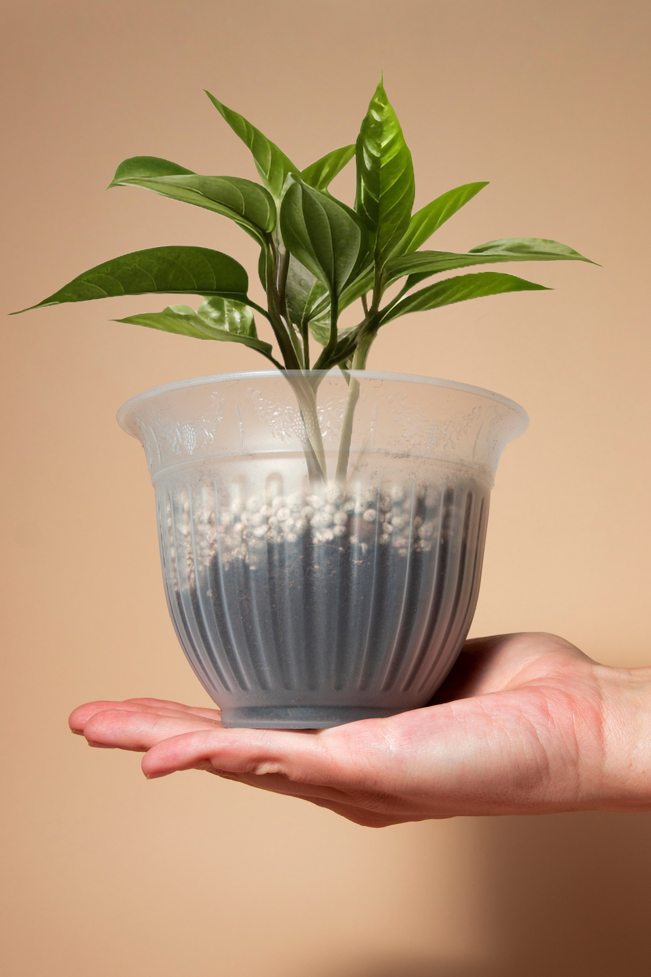 Предметная фотография. Фотограф Злата Спицына