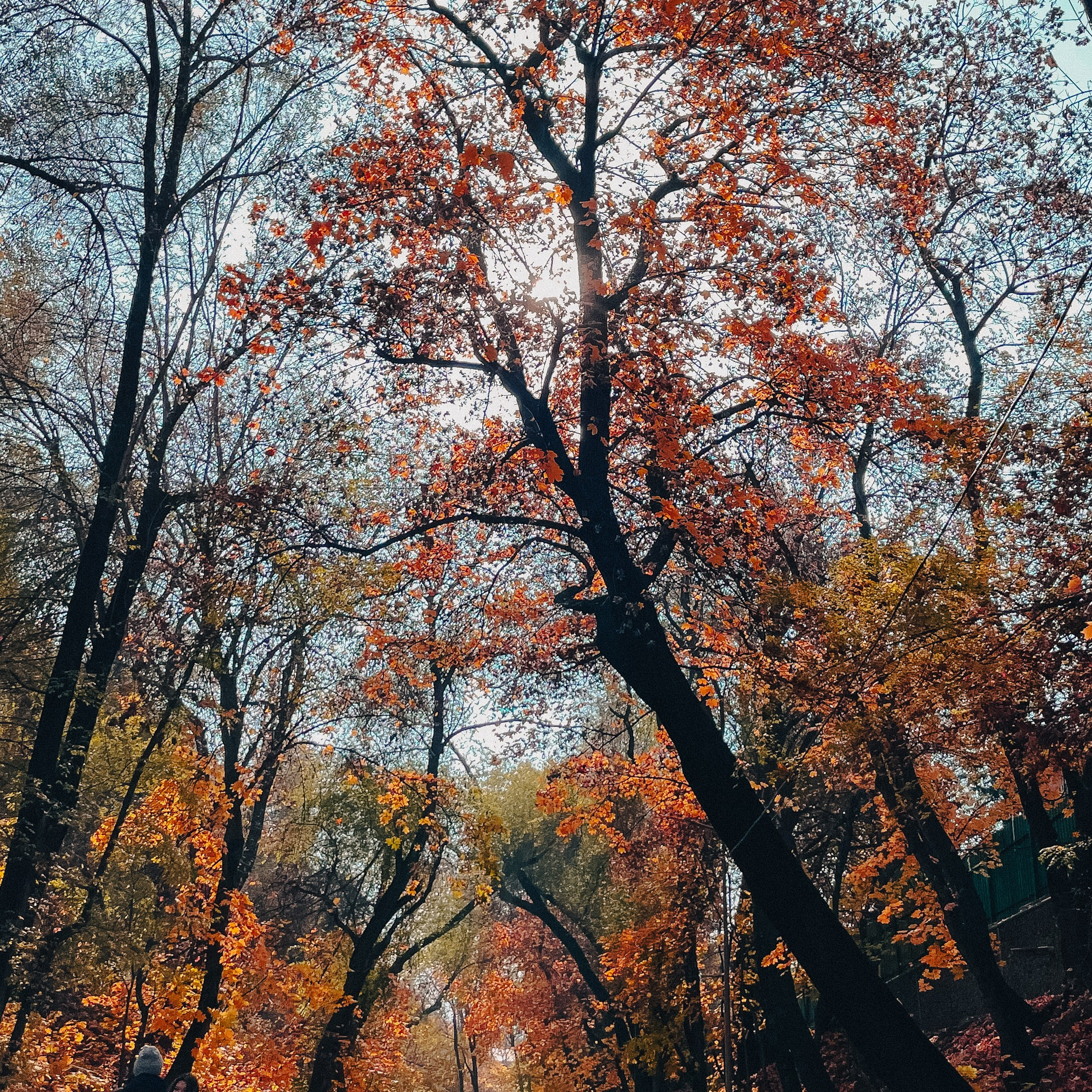 Интенсив по мобильной фотографии (1). Свадебный, семейный и портретный фотограф в Алматы, Костанай