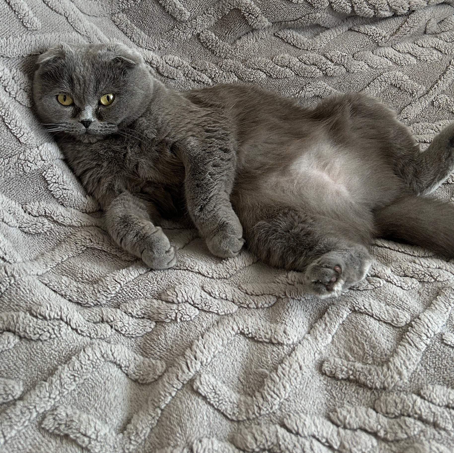 Свадебные фотограф и видеограф Алина и Евгений Кумановские | О нас. Свадебные фотограф и видеограф в Краснодаре | Алина и Евгений Кумановские