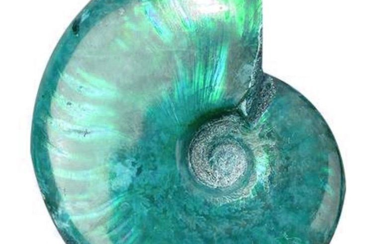 Прайс лист. DREAM POLE — pole dance комьюинити из Москвы. Тренировки, выступления, перформансы