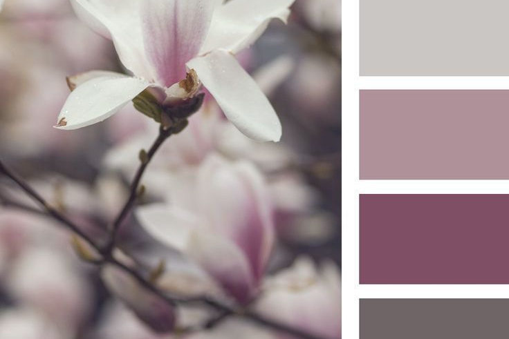 Локации и их цветовые гармонии. Степанова Анна.Детский и семейный фотограф Крым