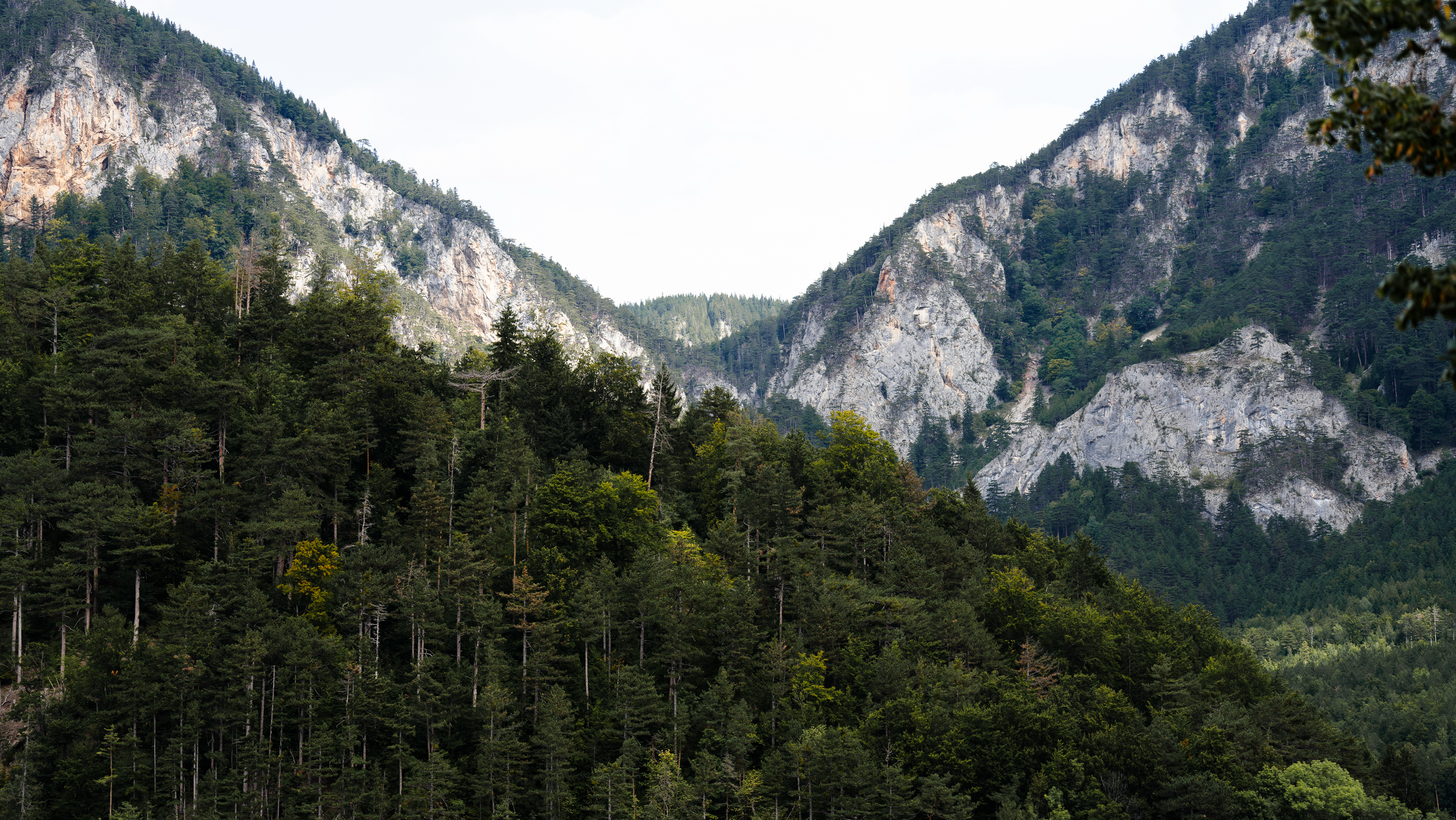 Свадебный видеограф в Санкт-Петербурге Ульяна Радиковская