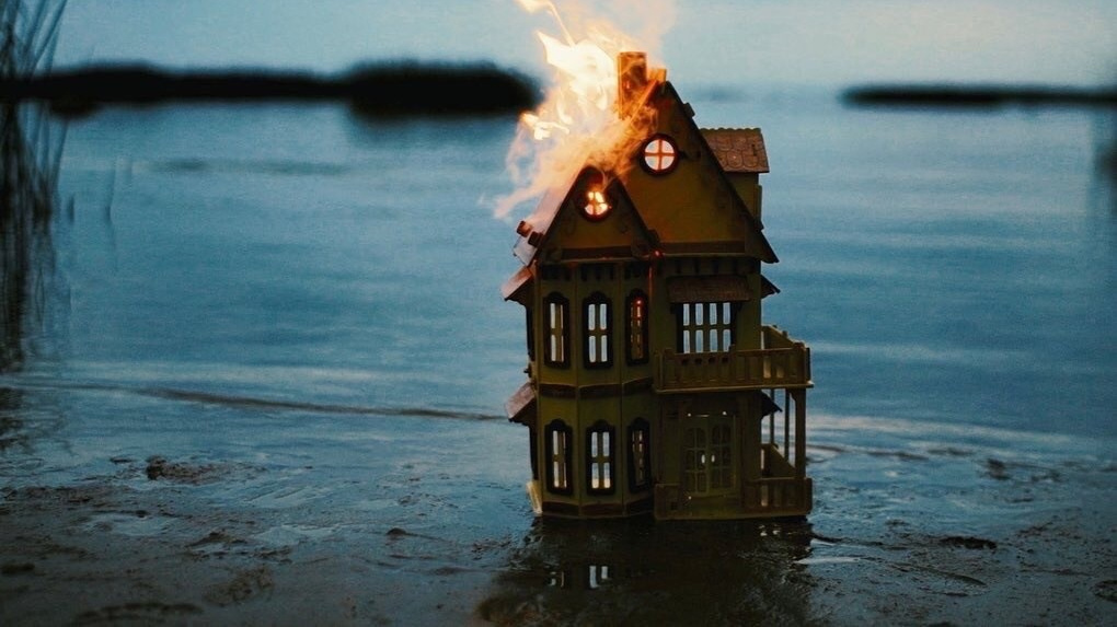 Обучение. Orliphoto_