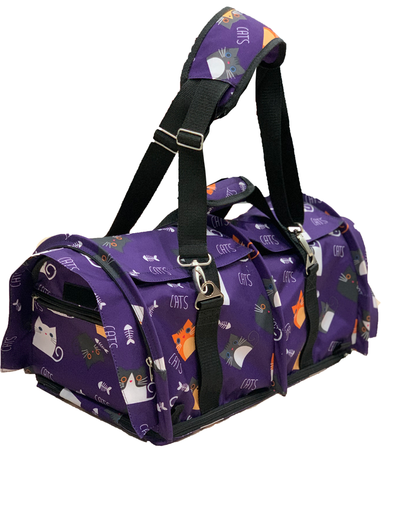 Котёнок американской бурмы. Las Burmas — питомник американской бурмы традиционных линий