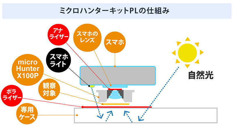 Ультракомпактный объектив «Микро Охотник». Фотограф — видеограф в Москве Дмитрий Менделеев