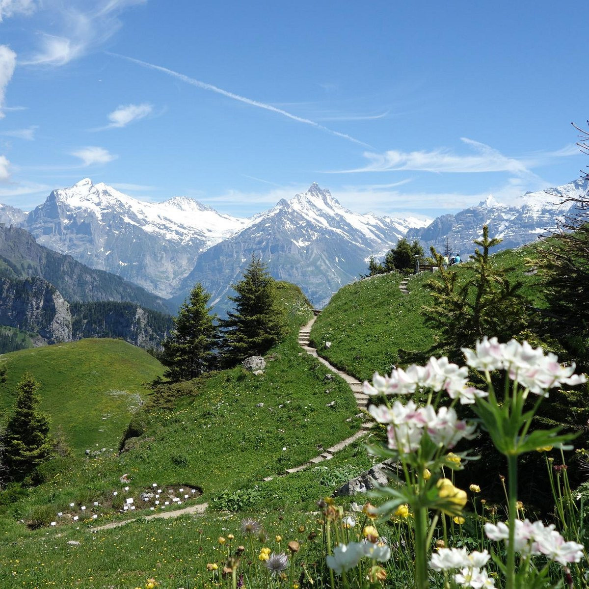 PLACES FOR PHOTOS. Photographer in Interlaken area
