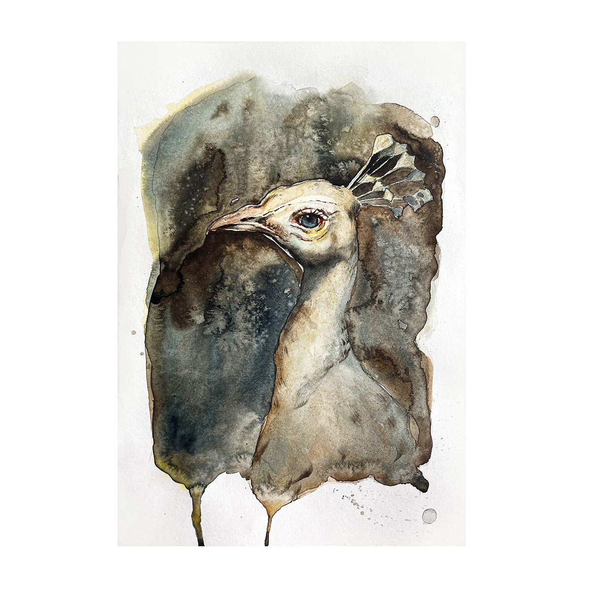 В наличии Анималистика. Художник и Фотограф Тимохина Юлия