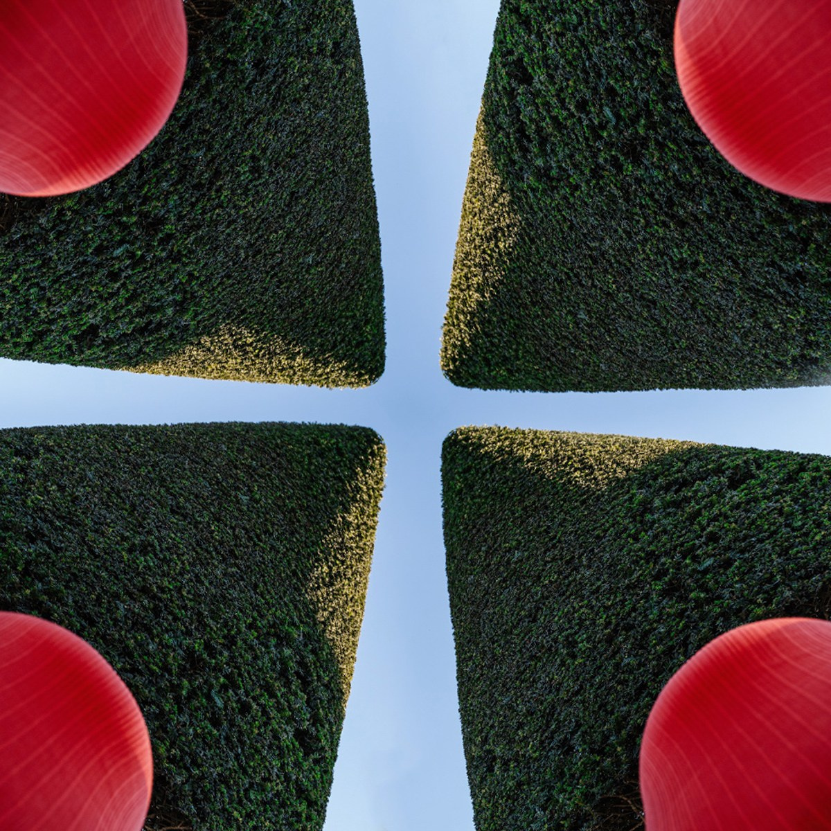 Виноградская Елизавета. ARTEXPOPHOTO