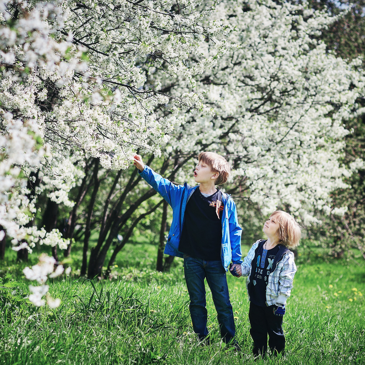 Когда лучше фотографироваться на школьный альбом?. Школьный фотограф Сергей Беликов